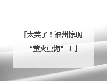 太美了！福州惊现“萤火虫海”！