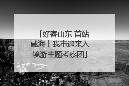 好客山东 首站威海丨我市迎来入境游主题考察团