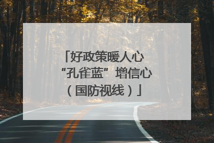 好政策暖人心 “孔雀蓝”增信心（国防视线）