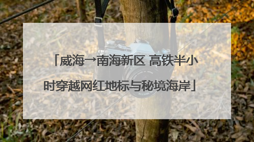 威海→南海新区 高铁半小时穿越网红地标与秘境海岸