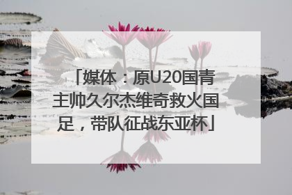 媒体：原U20国青主帅久尔杰维奇救火国足，带队征战东亚杯