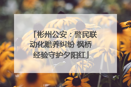 彬州公安：警民联动化赡养纠纷 枫桥经验守护夕阳红