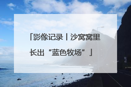 影像记录丨沙窝窝里长出“蓝色牧场”