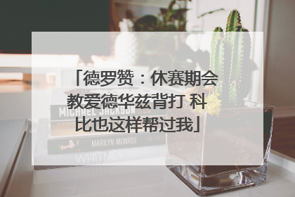德罗赞：休赛期会教爱德华兹背打 科比也这样帮过我