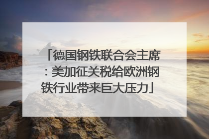 德国钢铁联合会主席：美加征关税给欧洲钢铁行业带来巨大压力