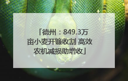 德州：849.3万亩小麦开镰收割 高效农机减损助增收