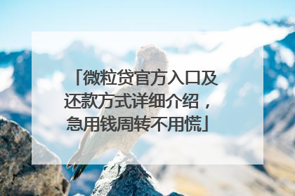 微粒贷官方入口及还款方式详细介绍，急用钱周转不用慌