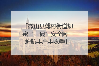 微山县傅村街道织密“三夏”安全网 护航丰产丰收季