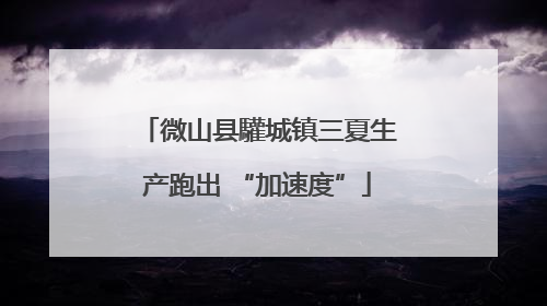 微山县驩城镇三夏生产跑出 “加速度”