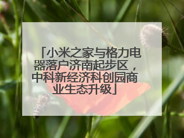 小米之家与格力电器落户济南起步区，中科新经济科创园商业生态升级