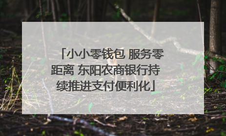 小小零钱包 服务零距离 东阳农商银行持续推进支付便利化