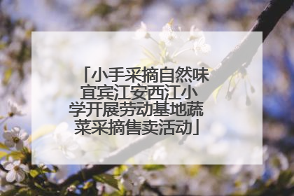 小手采摘自然味 宜宾江安西江小学开展劳动基地蔬菜采摘售卖活动