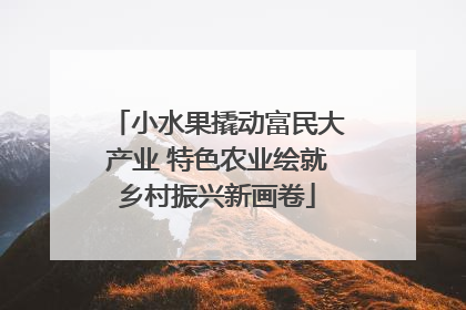 小水果撬动富民大产业 特色农业绘就乡村振兴新画卷