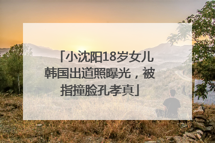 小沈阳18岁女儿韩国出道照曝光，被指撞脸孔孝真