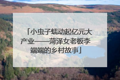 小虫子蠕动起亿元大产业——菏泽女老板李端端的乡村故事