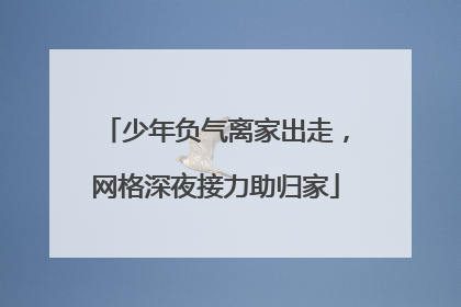 少年负气离家出走，网格深夜接力助归家