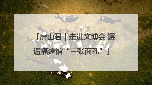 屏山君｜走进文博会 邂逅福建馆“三张面孔”