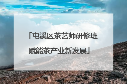 屯溪区茶艺师研修班赋能茶产业新发展