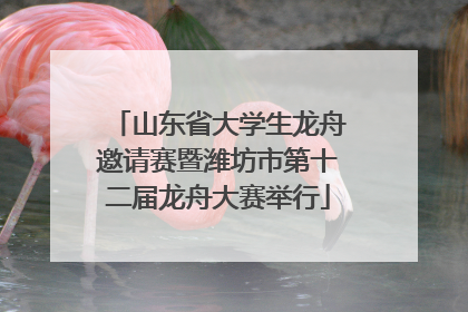 山东省大学生龙舟邀请赛暨潍坊市第十二届龙舟大赛举行