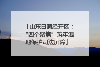 山东日照经开区：“四个聚焦”筑牢湿地保护司法屏障