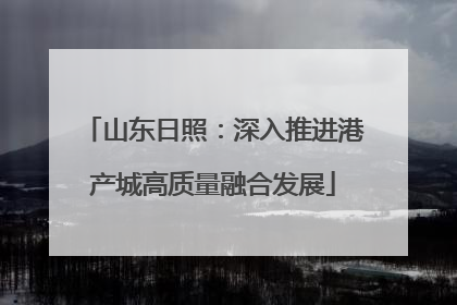 山东日照：深入推进港产城高质量融合发展