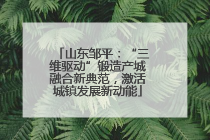 山东邹平：“三维驱动”锻造产城融合新典范，激活城镇发展新动能