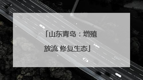 山东青岛：增殖放流 修复生态