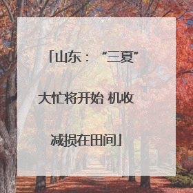 山东：“三夏”大忙将开始 机收减损在田间