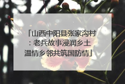 山西中阳县张家沟村：老兵故事浸润乡土 温情乡邻共筑国防情
