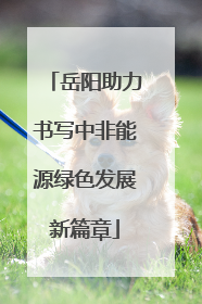 岳阳助力书写中非能源绿色发展新篇章