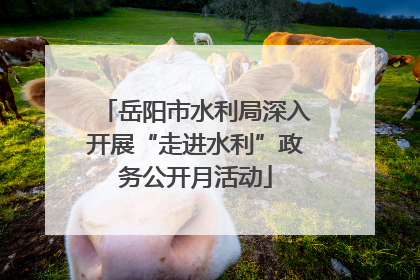 岳阳市水利局深入开展“走进水利”政务公开月活动