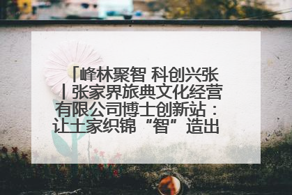 峰林聚智 科创兴张丨张家界旅典文化经营有限公司博士创新站：让土家织锦“智”造出非遗新传奇