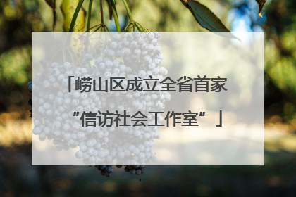 崂山区成立全省首家“信访社会工作室”