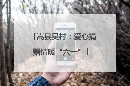 嵩县吴村：爱心捐赠情暖“六一”