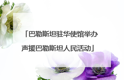 巴勒斯坦驻华使馆举办声援巴勒斯坦人民活动