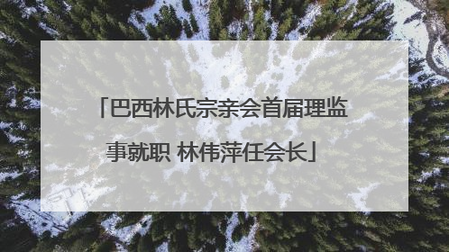巴西林氏宗亲会首届理监事就职 林伟萍任会长
