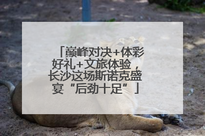 巅峰对决+体彩好礼+文旅体验，长沙这场斯诺克盛宴“后劲十足”
