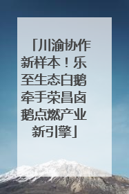 川渝协作新样本！乐至生态白鹅牵手荣昌卤鹅点燃产业新引擎