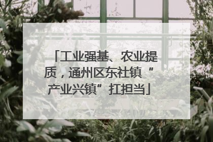 工业强基、农业提质，通州区东社镇“产业兴镇”扛担当