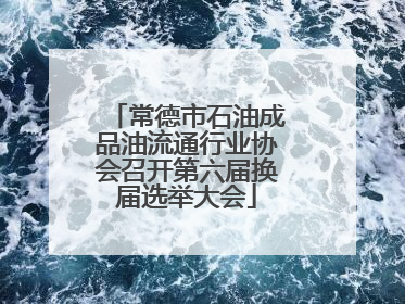 常德市石油成品油流通行业协会召开第六届换届选举大会