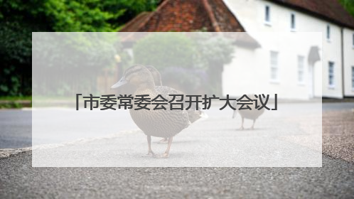市委常委会召开扩大会议
