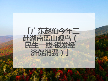 广东赵伯今年三赴湖南蓝山观鸟（民生一线·银发经济促消费）