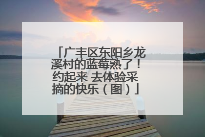 广丰区东阳乡龙溪村的蓝莓熟了！约起来 去体验采摘的快乐（图）