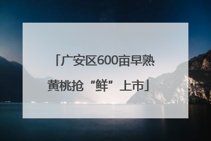 广安区600亩早熟黄桃抢“鲜”上市