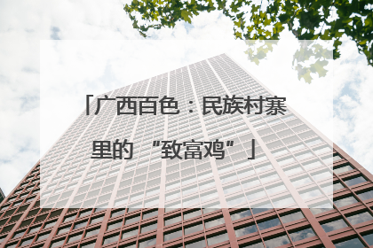 广西百色：民族村寨里的 “致富鸡”