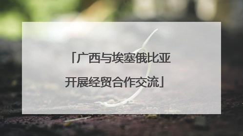 广西与埃塞俄比亚开展经贸合作交流