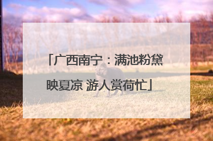 广西南宁：满池粉黛映夏凉 游人赏荷忙