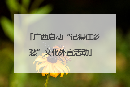 广西启动“记得住乡愁”文化外宣活动