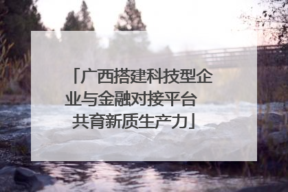 广西搭建科技型企业与金融对接平台 共育新质生产力