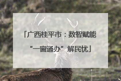广西桂平市：数智赋能“一窗通办”解民忧